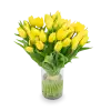 Kytice  tulipánů
